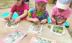 Природа и дети